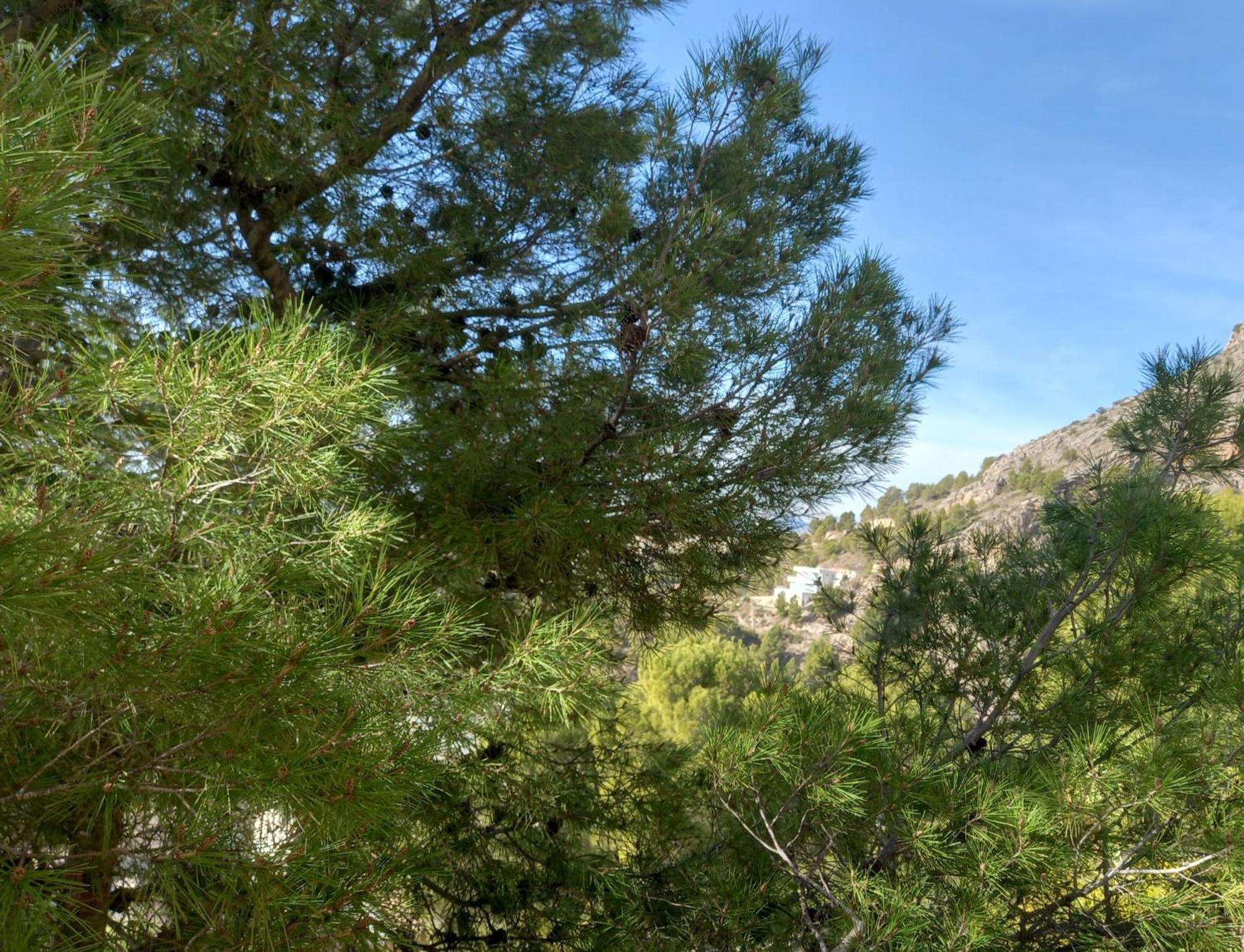Townhouse Altea Hills Villa Eksteriør bilde